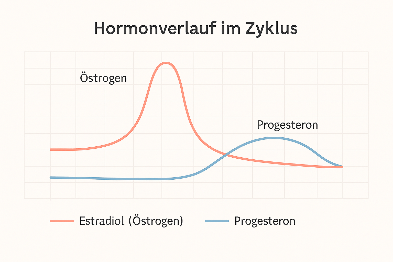Lineares Diagramm zeigt den Verlauf von Östrogen und Progesteron während des Menstruationszyklus